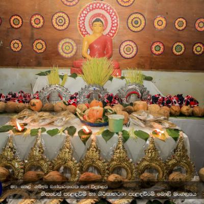 විශේෂ අවස්ථා 